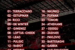 开云体育官网登录包含社区盾集结日走向成谜，AC米兰刷新队史纪录，球迷炸锅，心理建设被强调的词条